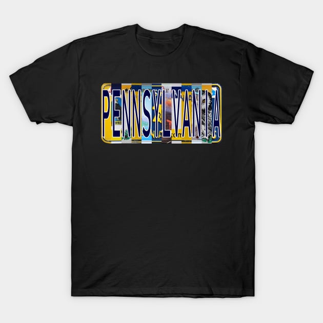 Pennsylvania License Plates T-Shirt by stermitkermit